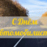 Поздравление с Днём автомобилиста - Юсьвинский район